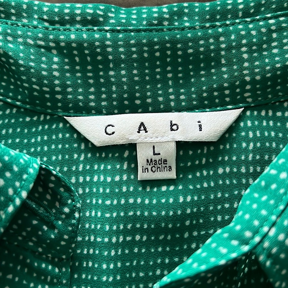 Button up shirt dress from Cabi